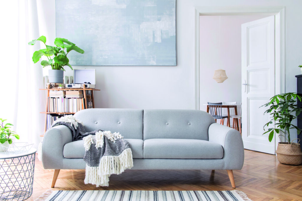 A bright and cozy living room with a modern light gray sofa, a patterned throw blanket, wooden flooring, indoor plants, and minimalist decor in soft neutral tones.